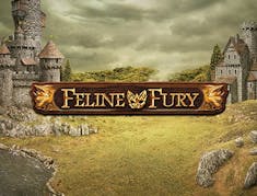 Feline Fury logo