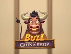 Bull in a China Shop logo