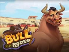 Bull in a Rodeo logo