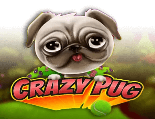 Crazy Pug